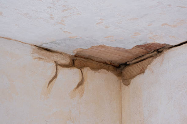Best Flood damage cleanup  in Stanfield, NC