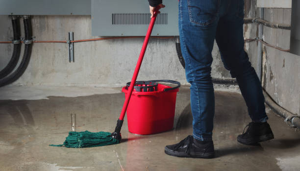 Best Ceiling water damage repair  in Stanfield, NC