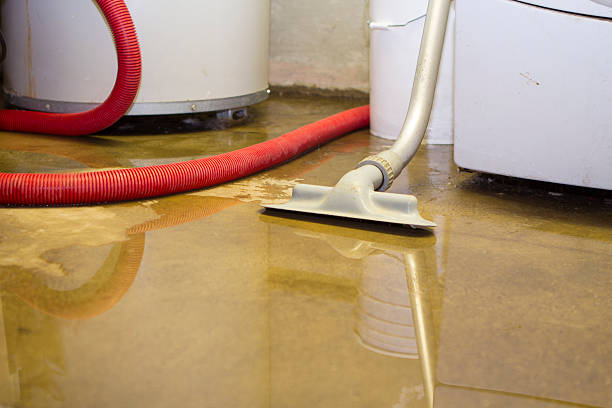 Best Water damage cleanup near me  in Stanfield, NC