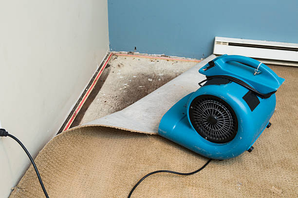 Best Flood damage cleanup  in Stanfield, NC